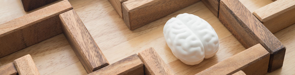 model of brain inside wooden maze
